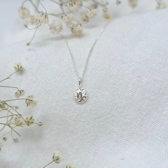 Capricorn Zodiac Necklace