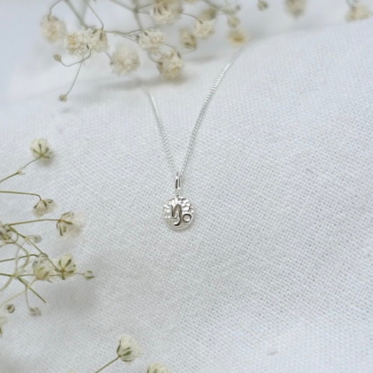 Capricorn Zodiac Necklace