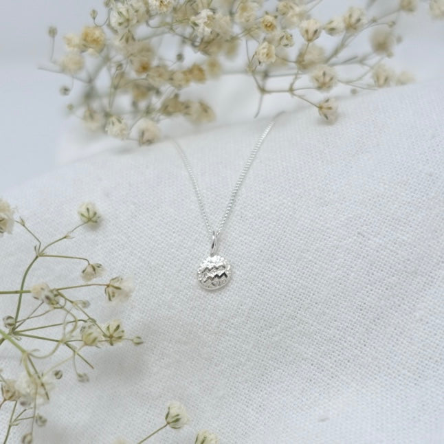 Aquarius Zodiac Necklace