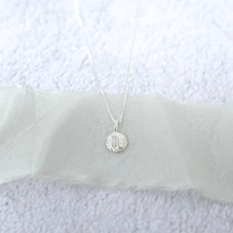 Scorpio Zodiac Necklace